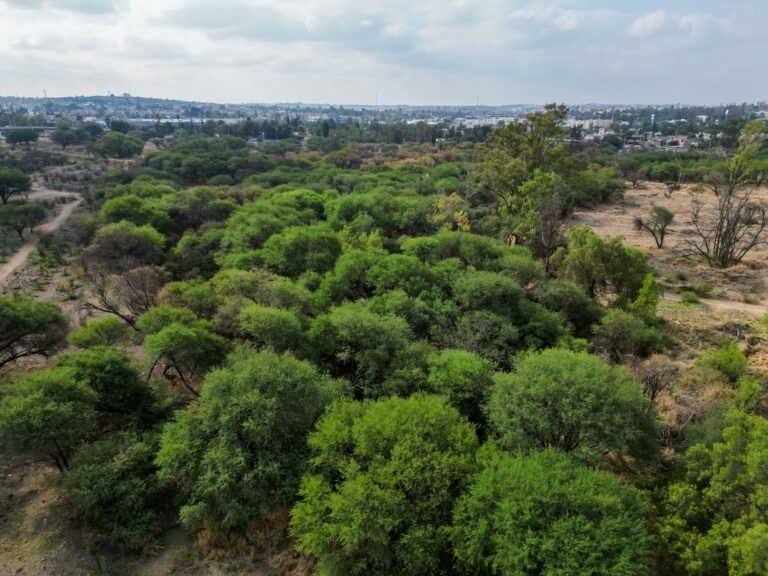 dji_fly_20260602_094518_441_1780412013954_photo