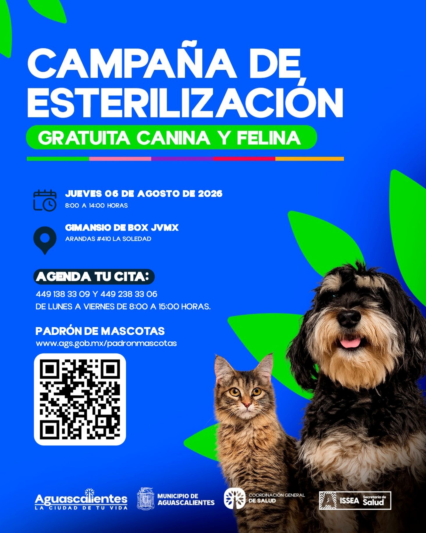 Boletin-42-Esterilizaciones-La-Soledad