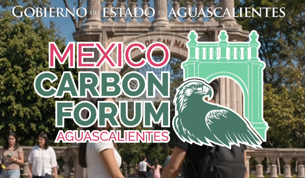 Captura de pantalla 2026-09-14 113119