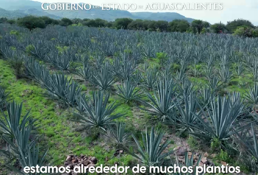 Captura de pantalla 2026-09-14 122701