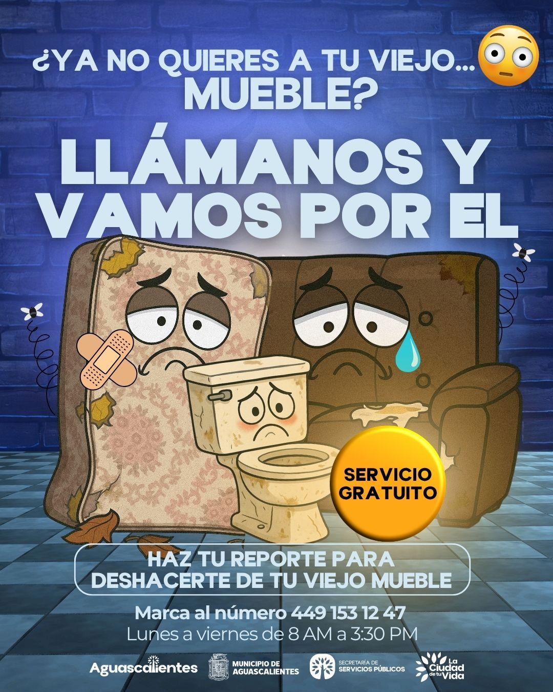 RECOLECCION-DE-MUEBLES-NEW