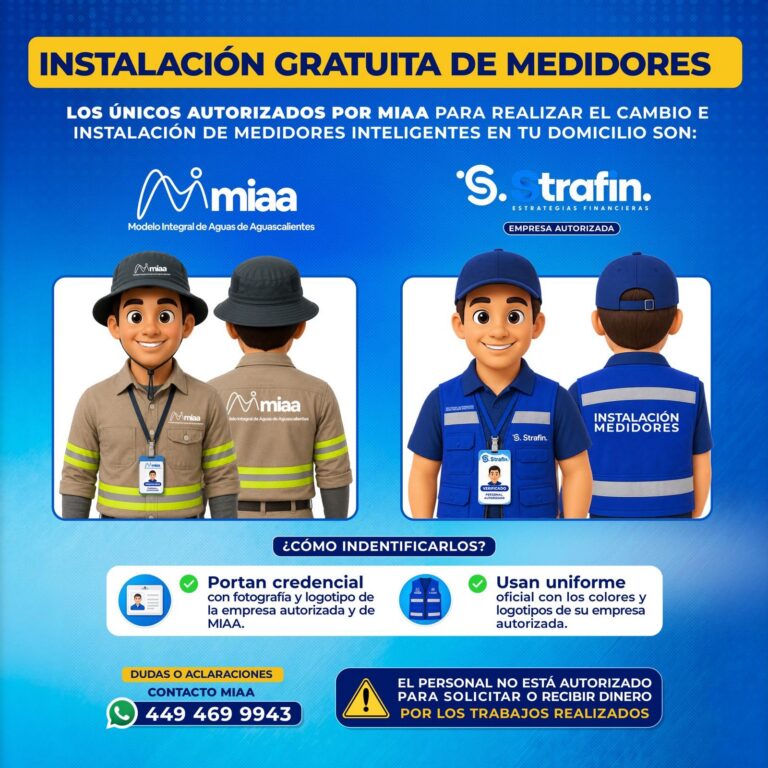 WhatsApp-Image-2026-08-25-at-14.03.37